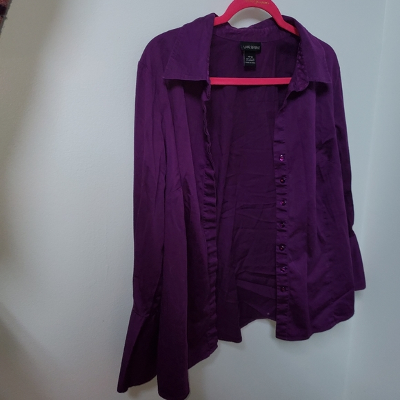 Lane Bryant Plum Purple Long Sleeve Blouse - Picture 4 of 6